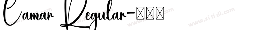 Camar Regular字体转换